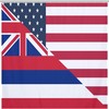 American And Hawaii State Flag Bath Shower Curtain For Bathroom Hotel Home Decor