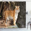 Angry Royal Feline Tiger Print Shower Curtain for Intense Bathroom Decor