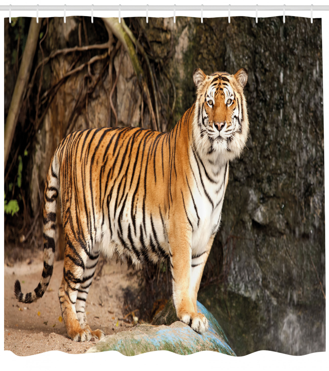 Angry Royal Feline Tiger Print Shower Curtain for Intense Bathroom Decor