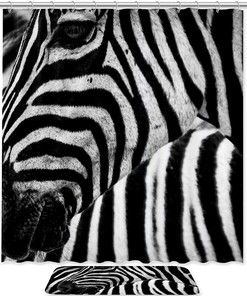 Animal Black And White Zebras Waterproof Shower Curtain Fabric