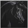 Arabian Horse Shower Curtain In Black, Ideal For Any Equestrian Enthusiast'S Bathroom Decor