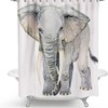 Art Elephant Watercolor Elephant Gray Shower Curtain for Bathroom Decor 