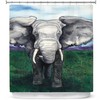 Artistic Elephant Painting Shower Curtain - Modern Bathroom Decor