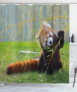 Asian Animal Panda Print Shower Curtain - Wildlife Bathroom Decor