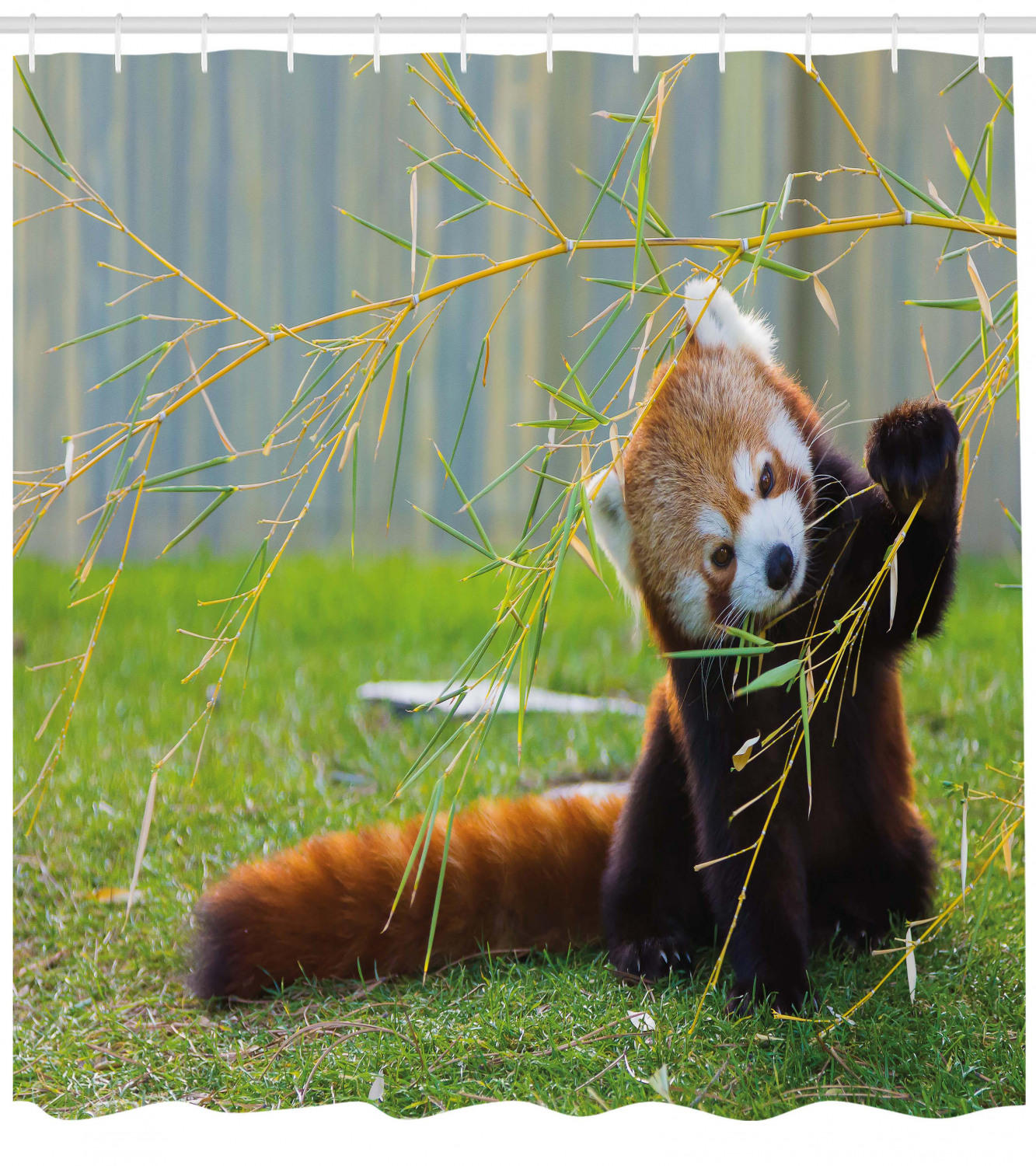 Asian Animal Panda Print Shower Curtain - Wildlife Bathroom Decor