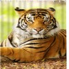 Asian Animal Wildlife Tigers in Wild Nature Waterproof Shower Curtain