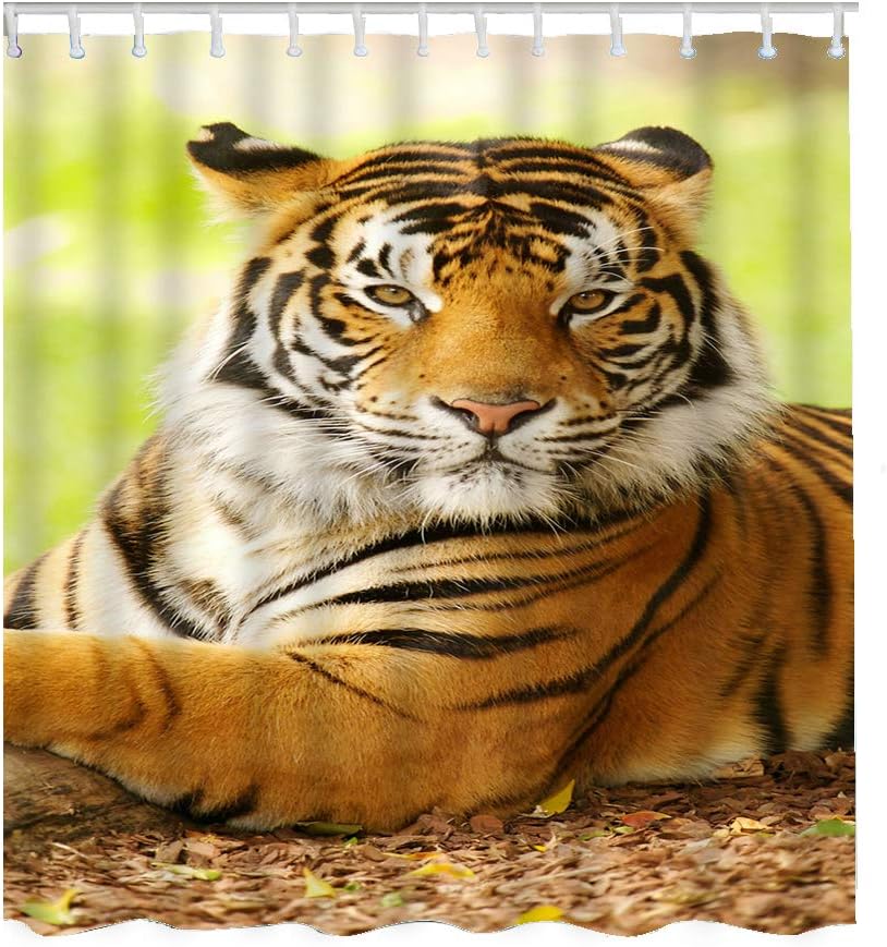 Asian Animal Wildlife Tigers in Wild Nature Waterproof Shower Curtain