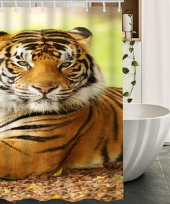 Asian Animal Wildlife Tigers in Wild Nature Waterproof Shower Curtain