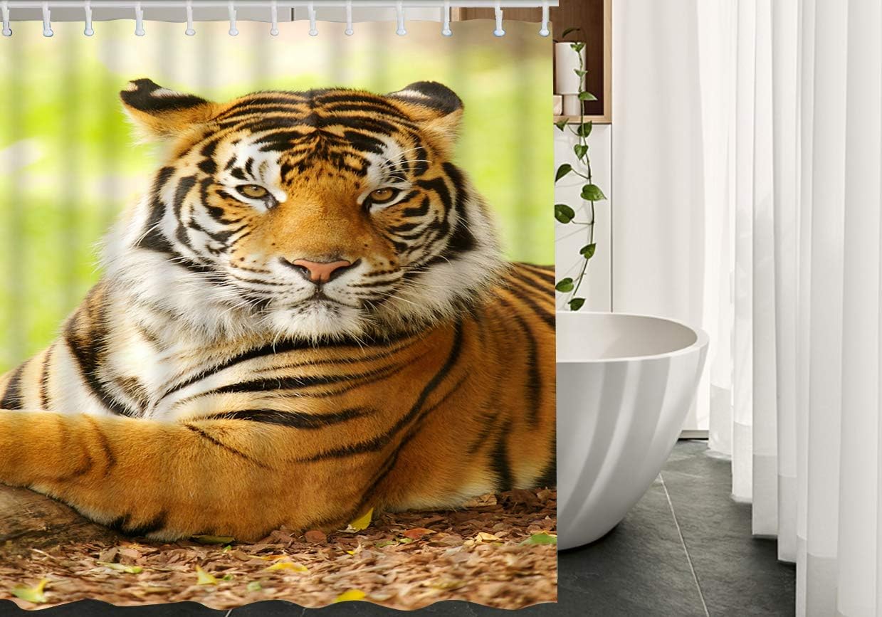 Asian Animal Wildlife Tigers in Wild Nature Waterproof Shower Curtain