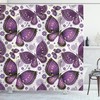 Asian Butterfly Print Shower Curtain for a Classic and Elegant Bathroom Look