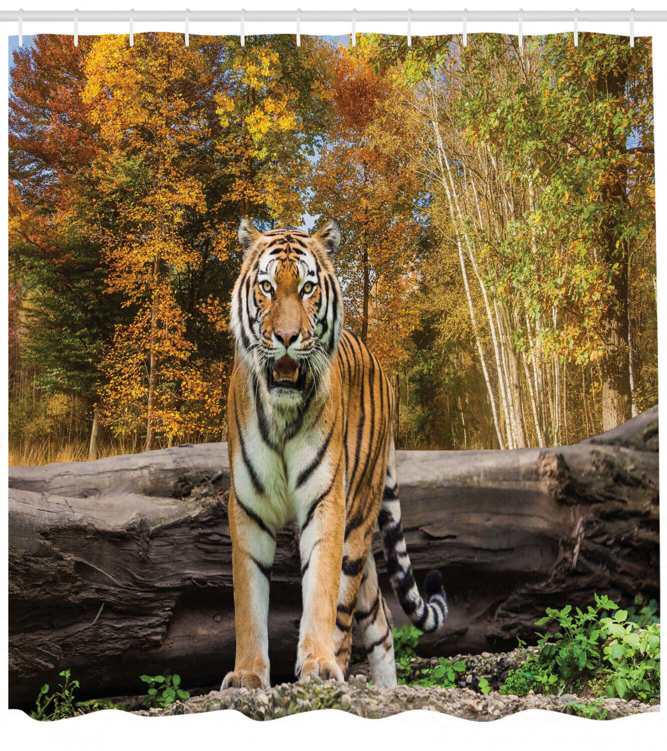 Asian Tiger In Forest Print Animal Shower Curtain For Bathroom Decor - Image 2