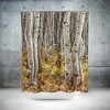 Autumn Aspen Trees And Forest Shower Curtain For Lodge Theme And Modern Rustic Bathroom,