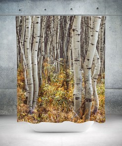 Autumn Aspen Trees And Forest Shower Curtain For Lodge Theme And Modern Rustic Bathroom,