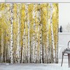 Autumn Birch Forest With Golden Yellow Leaves Shower Curtain, Woodland Nature Picture Cloth Fabric Bathroom Decors