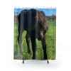 Baby Cow Rhonda Shower Curtain