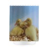Baby Duck Shower Curtain