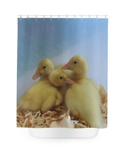 Baby Duck Shower Curtain
