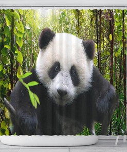 Bamboo Jungle Panda Bear Shower Curtain, Funny & Cute Home Decoration Artwork, Quirky Bathroom Decor