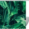 Banana Leaf Texture Palm Leaf Luxury Shower Curtains for Bathroom Decor