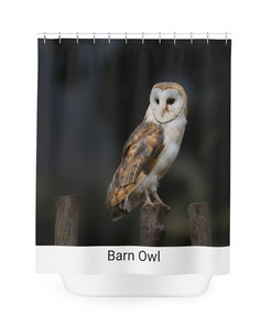 Barn Owl Printed Shower Curtain - Wildlife Bathroom Decor 