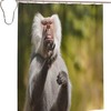 Bathing Baboon Monkey Shower Curtain - A Playful Twist In Your Bathroom