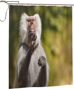 Bathing Baboon Monkey Shower Curtain - A Playful Twist In Your Bathroom
