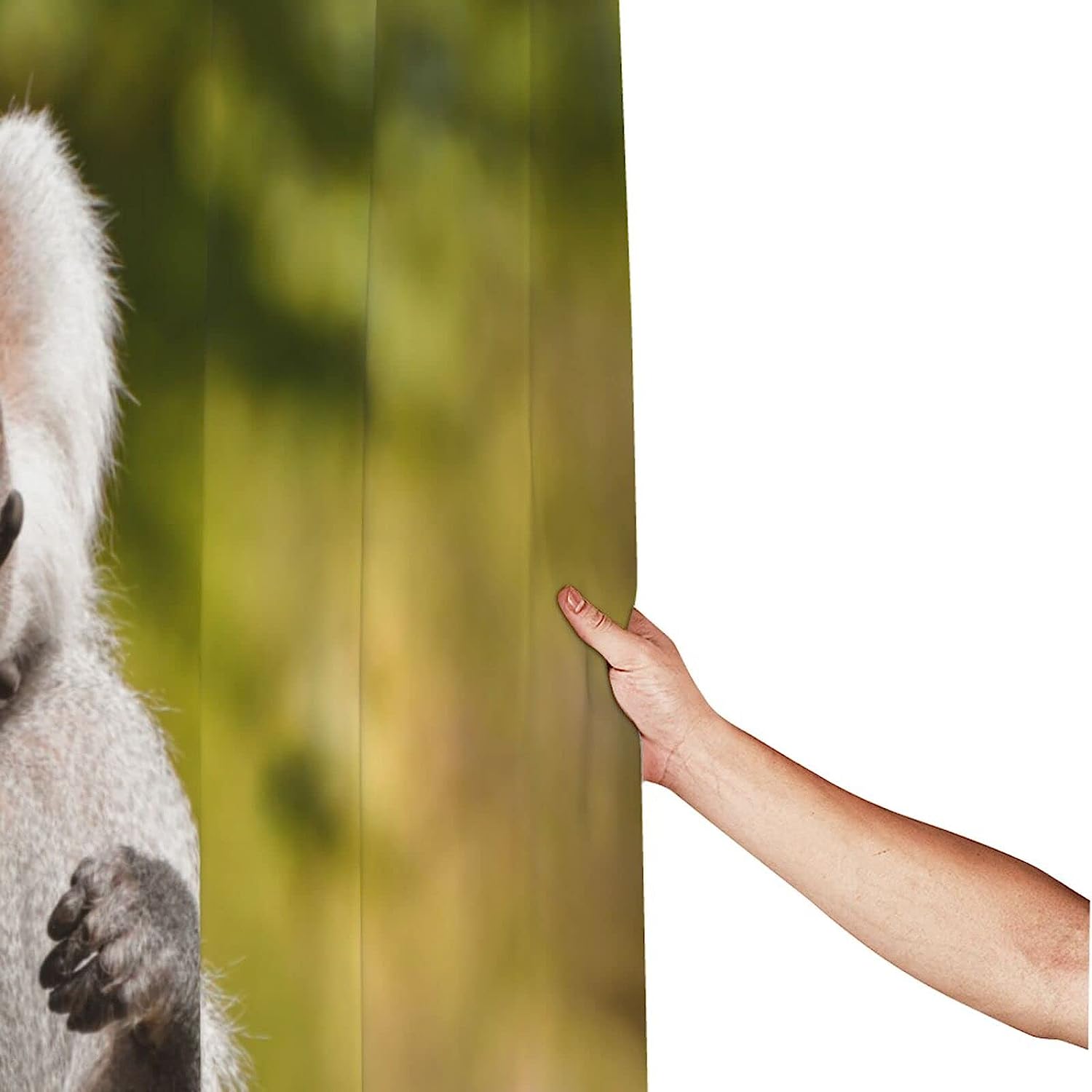 Bathing Baboon Monkey Shower Curtain - A Playful Twist In Your Bathroom