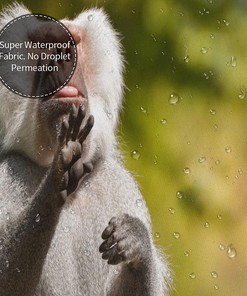 Bathing Baboon Monkey Shower Curtain - A Playful Twist In Your Bathroom
