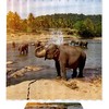 Bathing Elephants At River Water Park Shower Curtain, Waterproof Bathroom Decor 