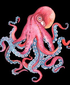 Beach Themed Octopus Art Shower Curtain for Your Bathroom.