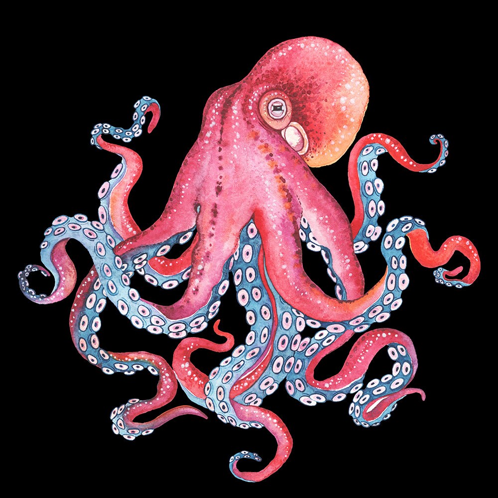 Beach Themed Octopus Art Shower Curtain for Your Bathroom.