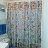 Beachy Coastal Seashell Pattern Shower Curtain, Feel The Ocean Breeze In Your Bathroom