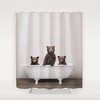 Bear In The Bathtub Animal Shower Curtain For Bathroom
