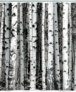 Beautiful Birch Vintage Shower Curtain by Kikkerland