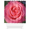 Beautiful and Colorful Rose Shower Curtain for Any Bathroom