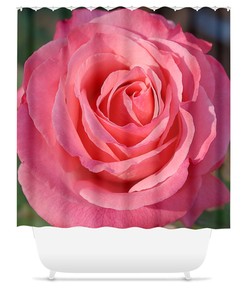 Beautiful and Colorful Rose Shower Curtain for Any Bathroom