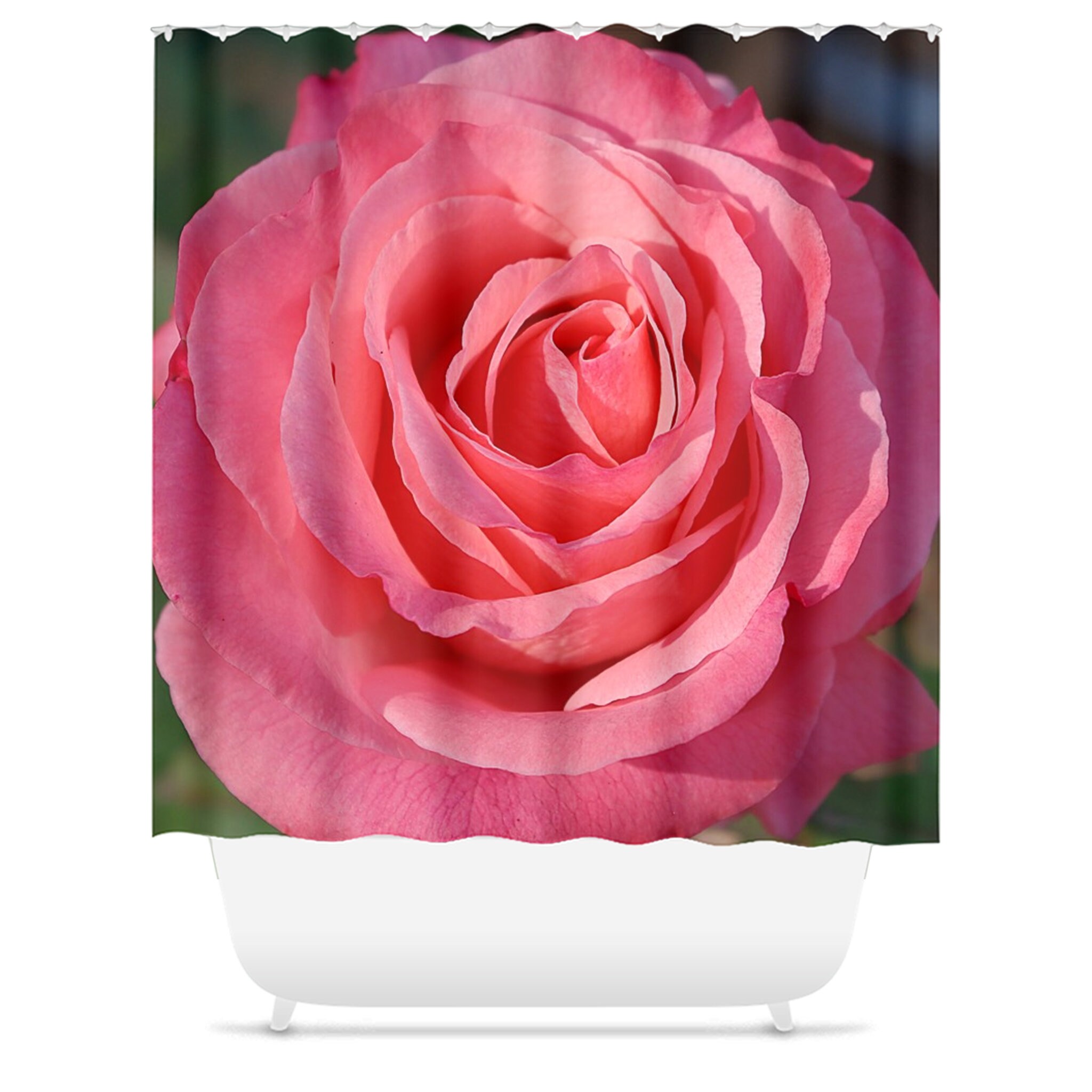 Beautiful and Colorful Rose Shower Curtain for Any Bathroom