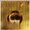 Bee Shower Curtain Cloth Farmhouse Design For Bathroom