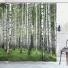 Birch Forest Landscape Shower Curtain | Autumn Trees September View | Cloth Fabric Bathroom Decor (White Black)