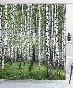 Birch Forest Landscape Shower Curtain | Autumn Trees September View | Cloth Fabric Bathroom Decor (White Black)