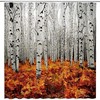 Birch Trees Autumn Forest Tree Branches Leaves Nature Scenery Landscape Shower Curtain for a Nature-inspired Bathroom