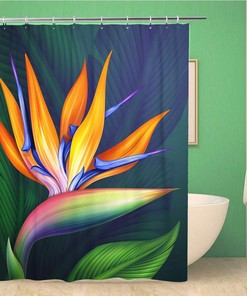 Bird Of Paradise Flower Botanical Illustration Shower Curtain With Hawaiian Strelitzia