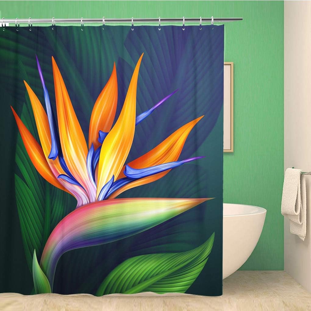 Bird Of Paradise Flower Botanical Illustration Shower Curtain With Hawaiian Strelitzia