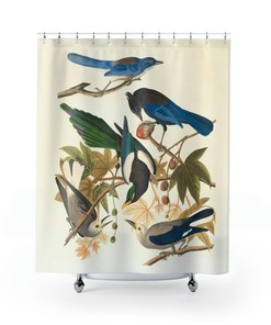 Birds of America Retro Shower Curtain for Nature Lovers Bathroom Decor