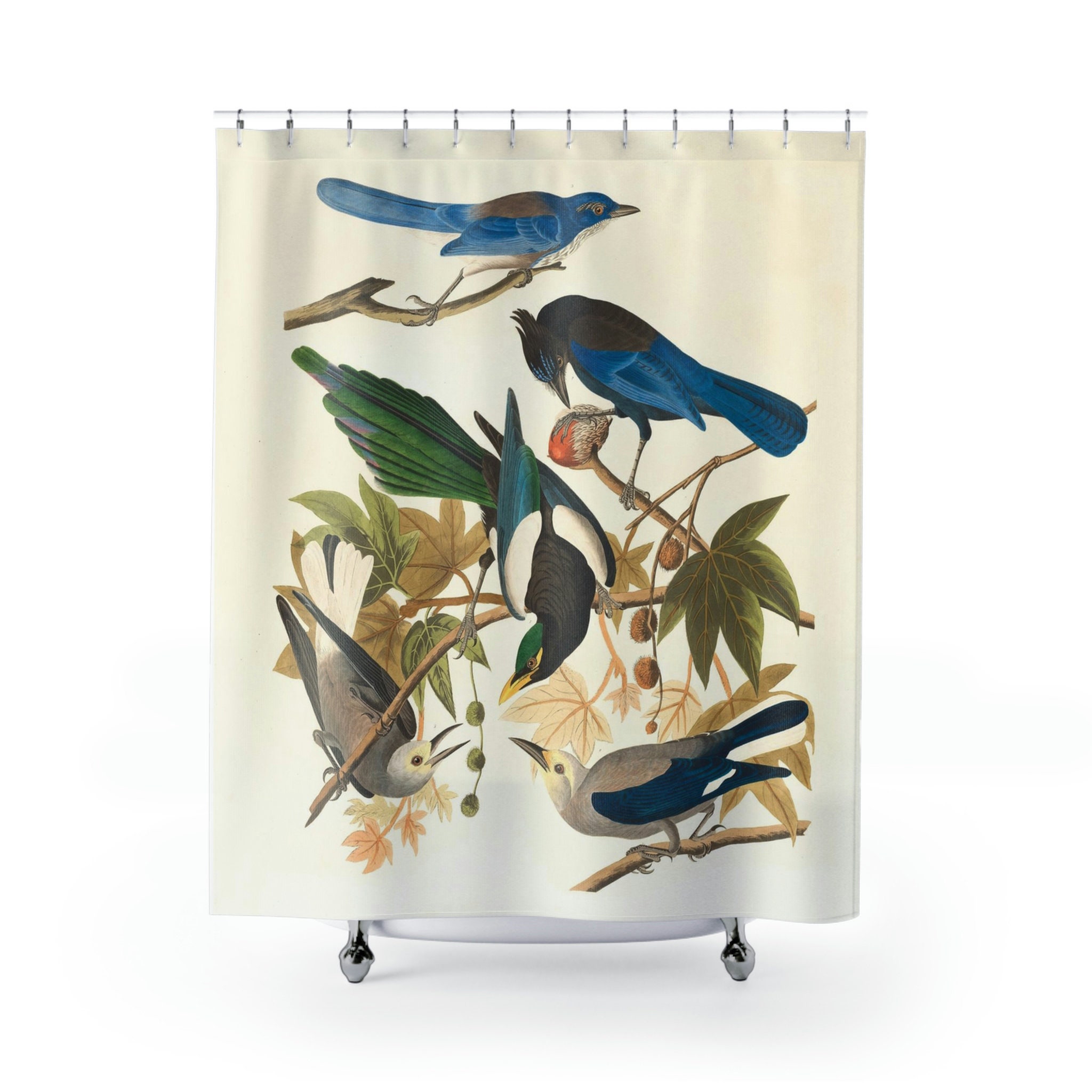 Birds of America Retro Shower Curtain for Nature Lovers Bathroom Decor