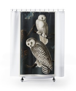 Birds of America Snowy Owl Vintage Bathroom Shower Curtain
