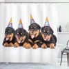 Birthday Dogs Hats Print Animal Shower Curtain For Bathroom