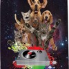 Black Cute Cat Dog Shower Curtain - Funny Animals Music Theme - Waterproof Washable Bathroom Decor