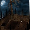 Black Halloween Shower Curtain - Spooky Night Full Moon Theme - Waterproof Washable Bathroom Decor