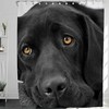 Black Lab Dog Shower Curtain For Pet Lovers' Bathroom
